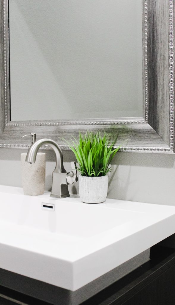 Modern Bathroom Sink. Brushed Nickel Mirror, Silver Faucet, Potted Greenery on Counter, Ivory Soap Dispenser