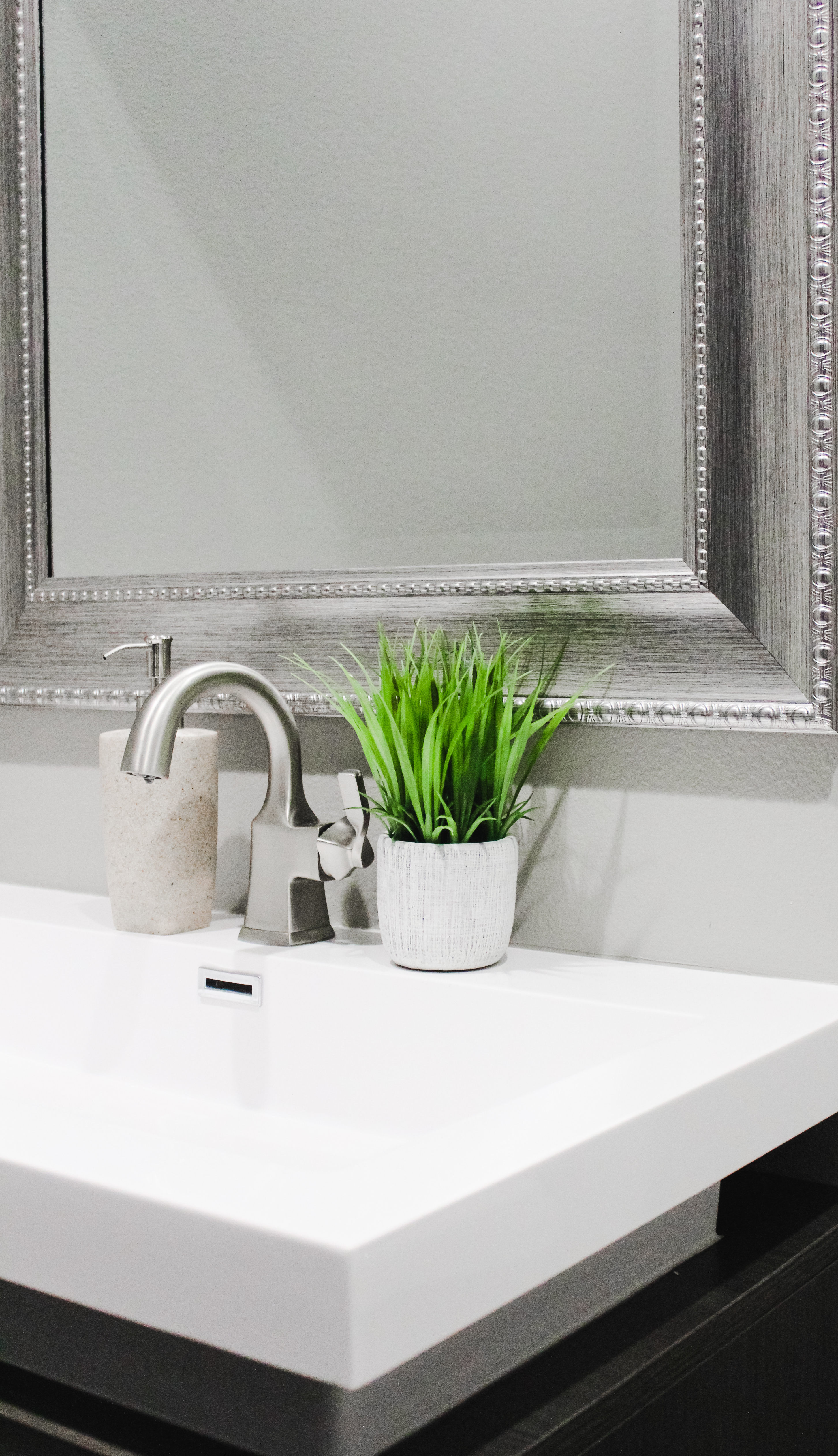 Modern Bathroom Sink. Brushed Nickel Mirror, Silver Faucet, Potted Greenery on Counter, Ivory Soap Dispenser